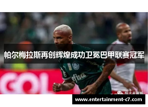 帕尔梅拉斯再创辉煌成功卫冕巴甲联赛冠军 帕尔梅拉斯再创辉煌成功卫冕巴甲联赛冠军