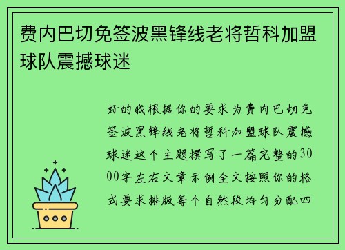 费内巴切免签波黑锋线老将哲科加盟球队震撼球迷