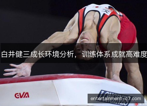白井健三成长环境分析,训练体系成就高难度 白井健三成长环境分析,训练体系成就高难度